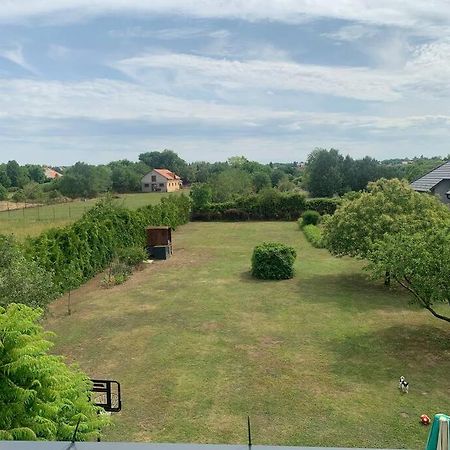 Érd - Csendes, kényelmes családi ház Apartamento Exterior foto